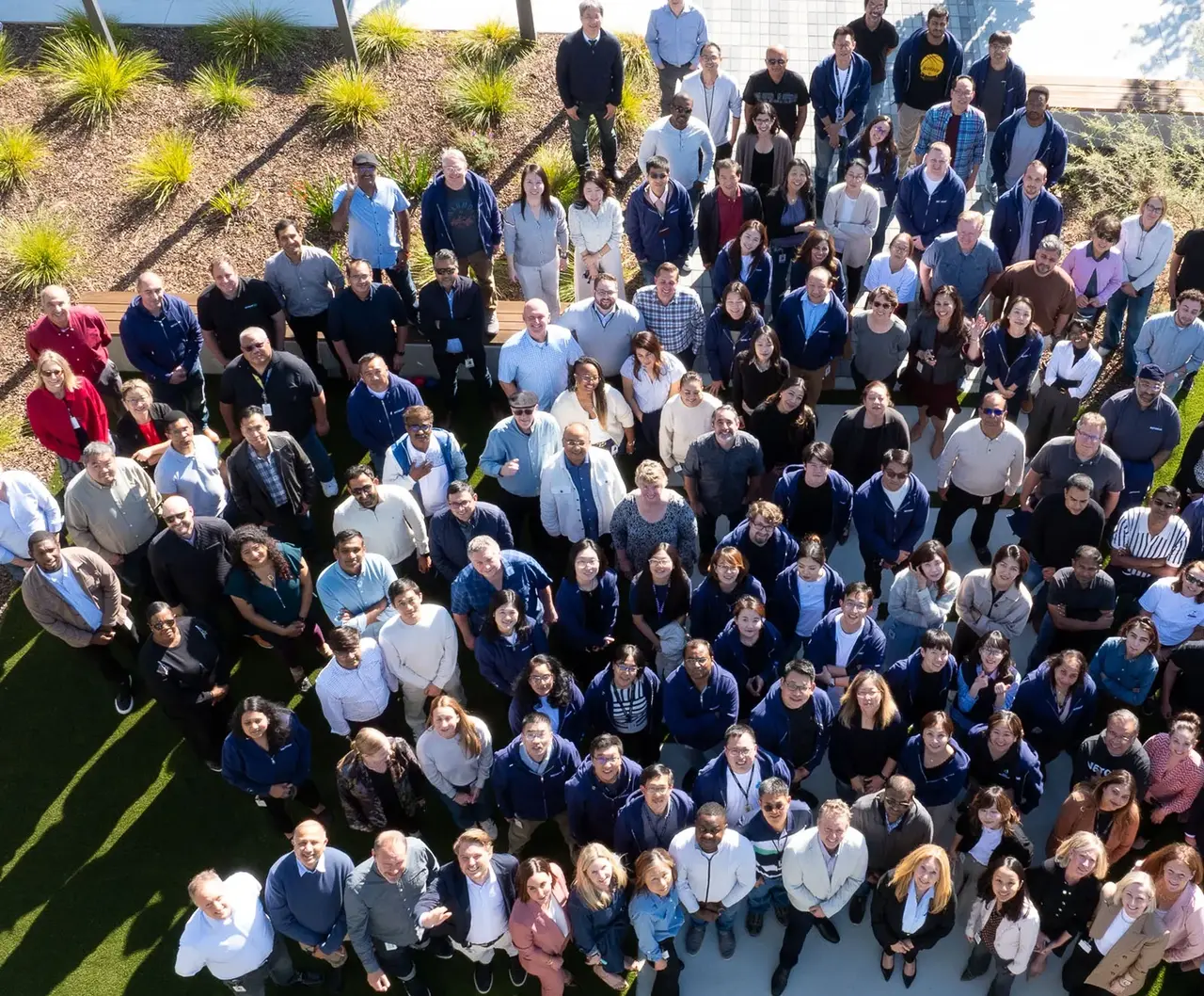 NETGEAR team