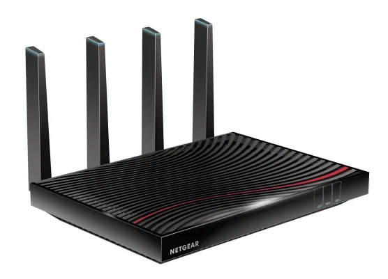 Netgear 30 year products