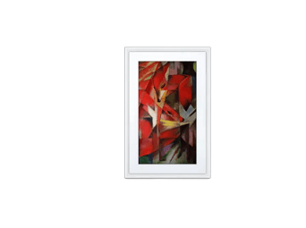 Canvas II - MC321WL