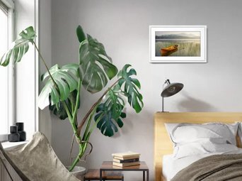 Canvas II - MC321WL