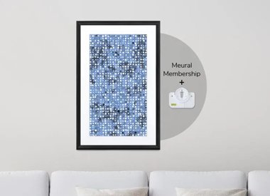 Meural Canvas, Mount, and Membership Bundle